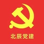 北辰党建