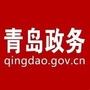 青岛政务网