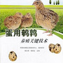 眉山佳业鹌鹑养殖