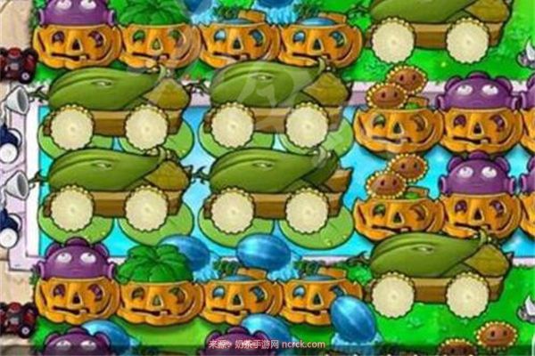 植物大战僵尸泳池无尽版最佳阵型一览